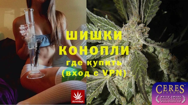 соль ск Ладушкин