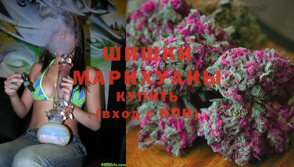 соль ск Ладушкин